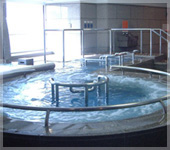 �X�J�C�X�pYOKOHAMA